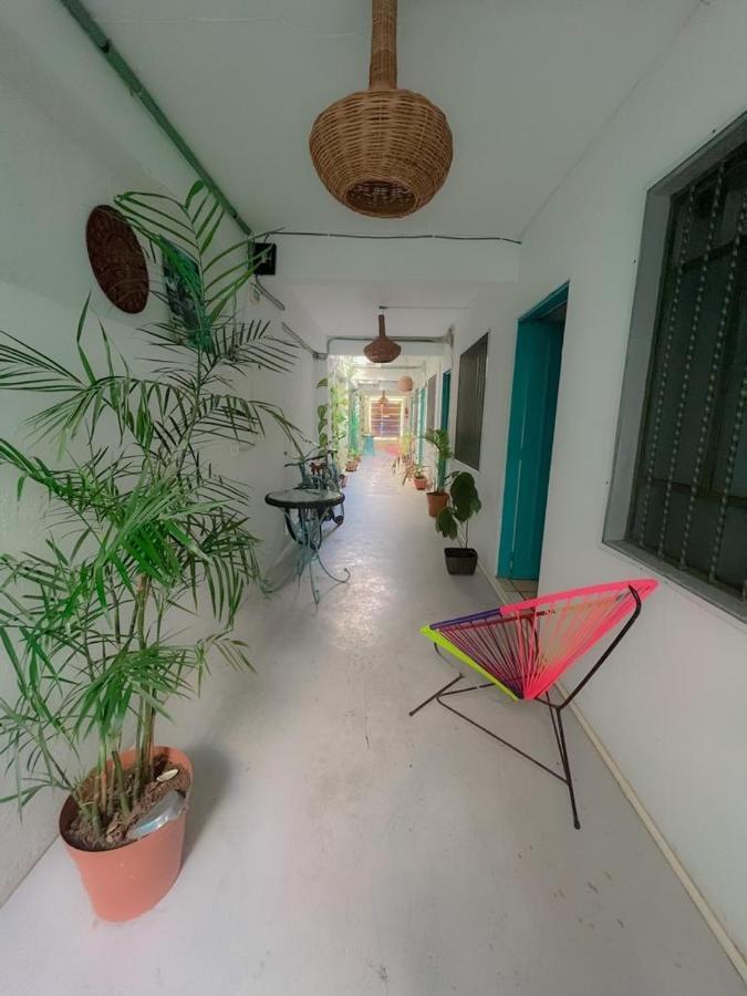Casa Cálido Hotel Cozumel Esterno foto