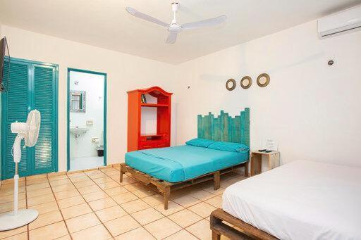Casa Cálido Hotel Cozumel Esterno foto
